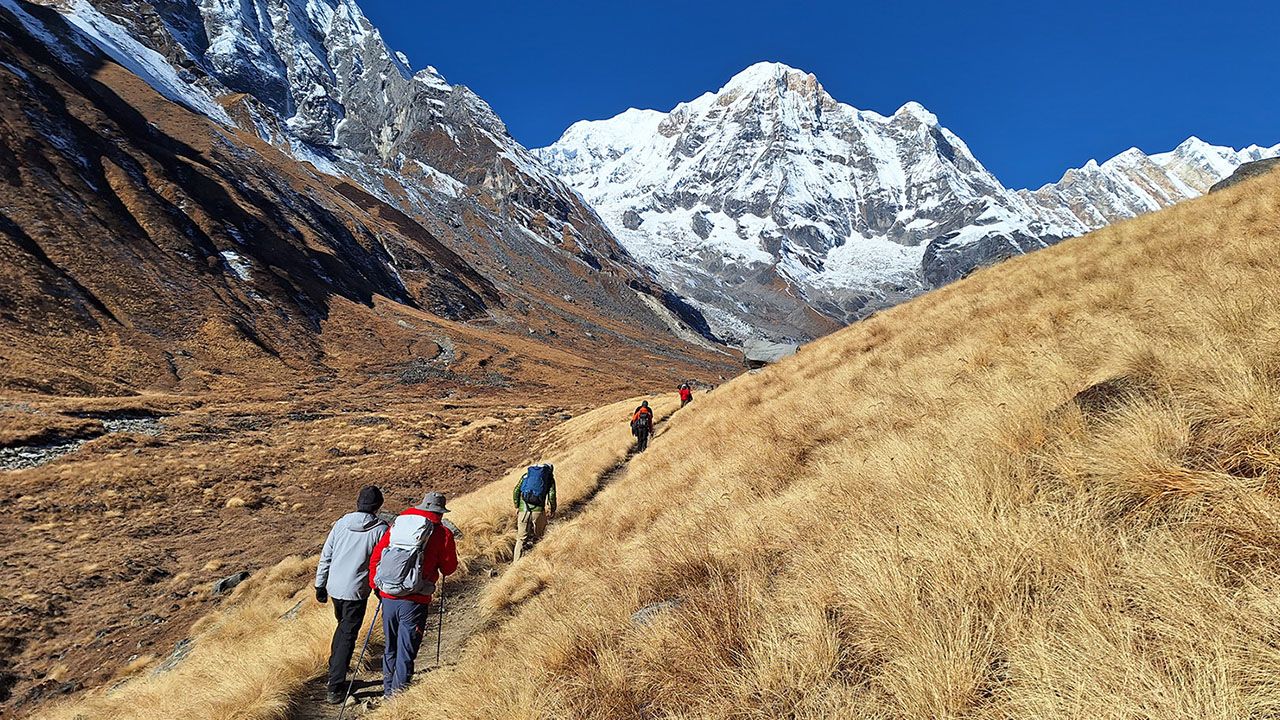Everest Details 2